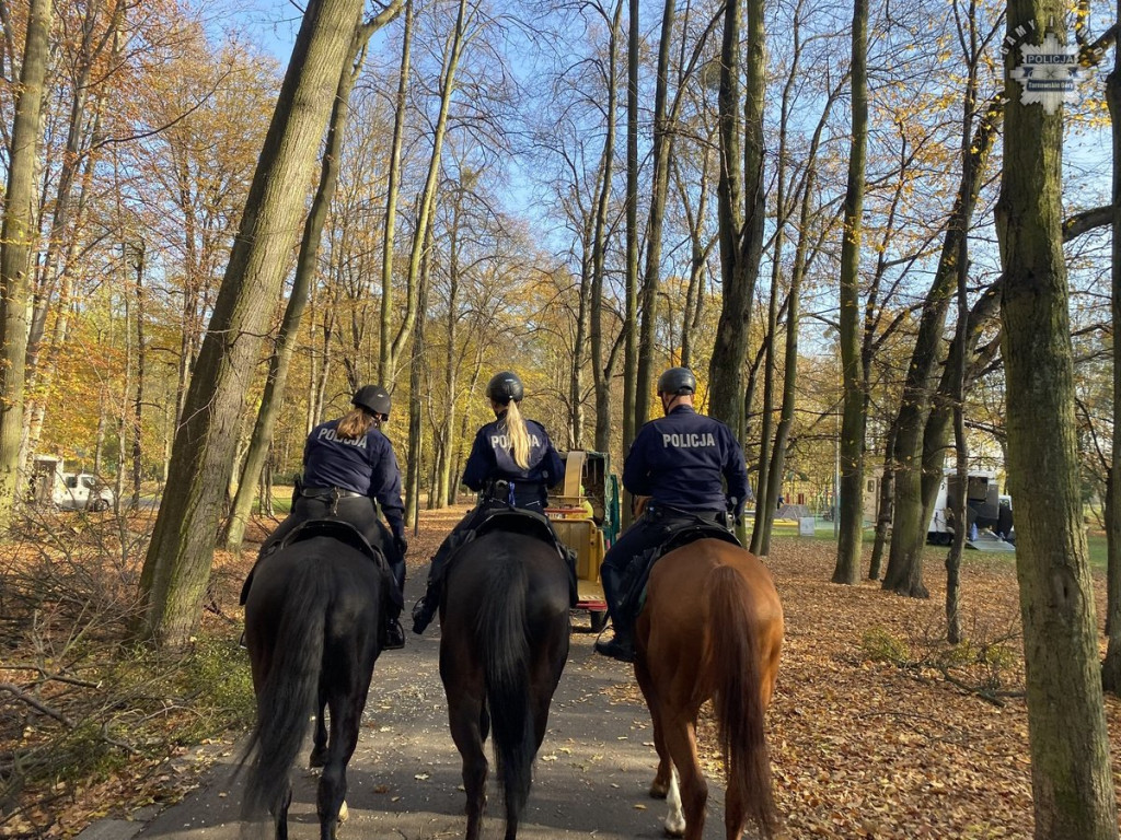 Tarnowskie Góry.  Akcja policji konnej w parku [FOTO]