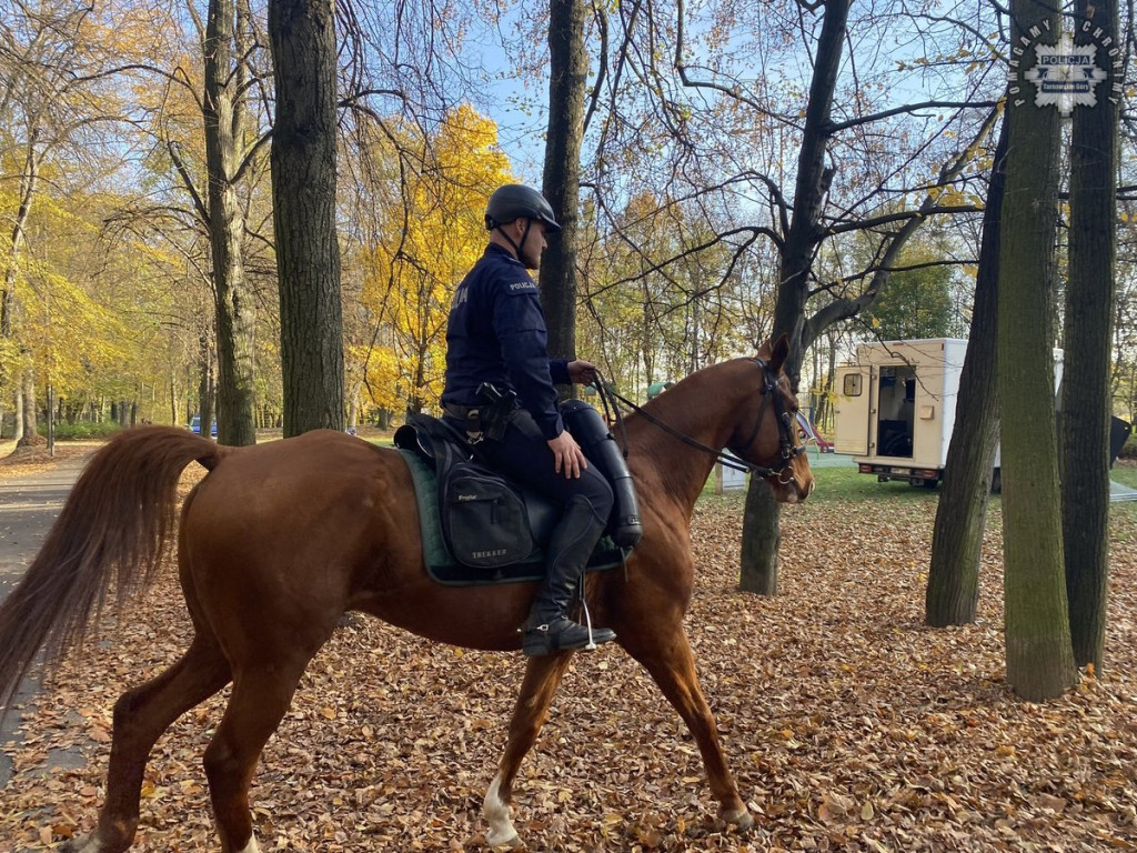 Tarnowskie Góry.  Akcja policji konnej w parku [FOTO]