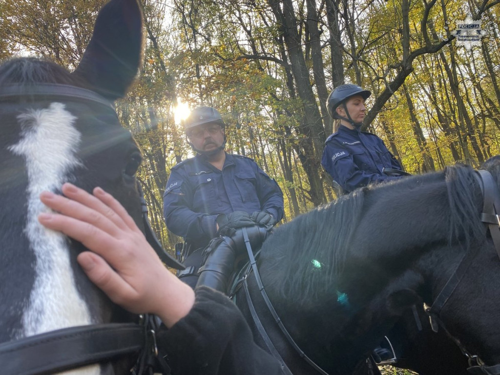 Tarnowskie Góry.  Akcja policji konnej w parku [FOTO]