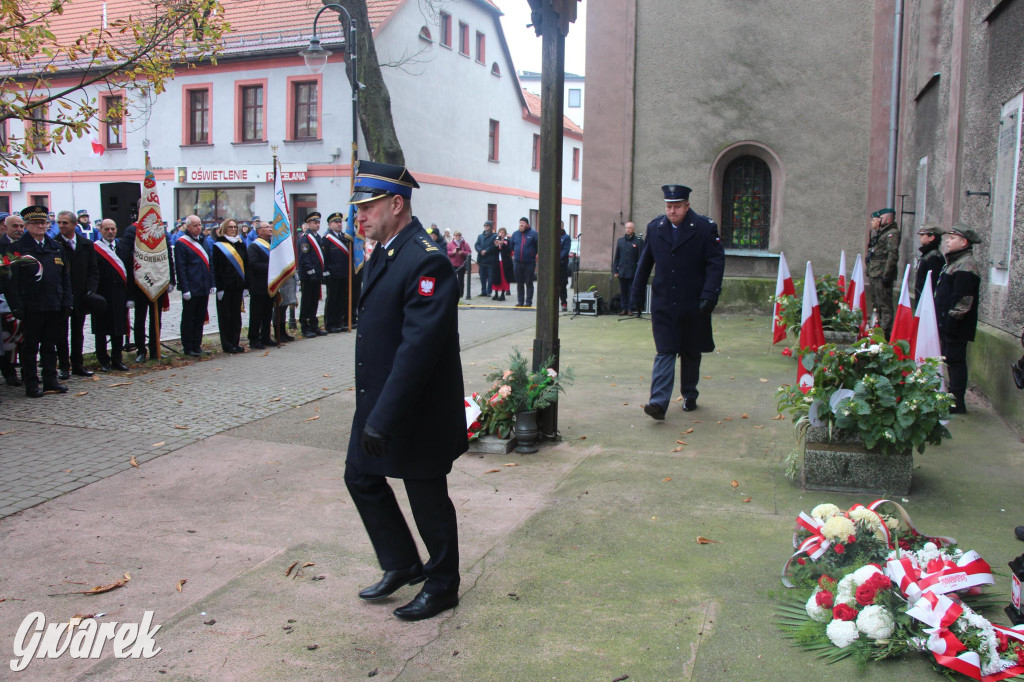 Tarnowskie Góry. Obchody Święta Niepodległości [GALERIA]