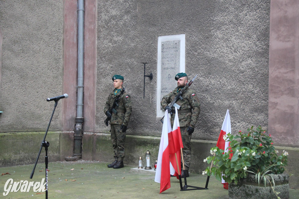 Tarnowskie Góry. Obchody Święta Niepodległości [GALERIA]