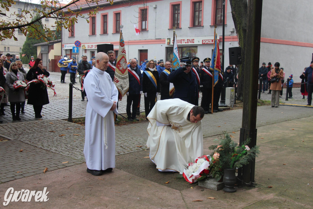 Tarnowskie Góry. Obchody Święta Niepodległości [GALERIA]