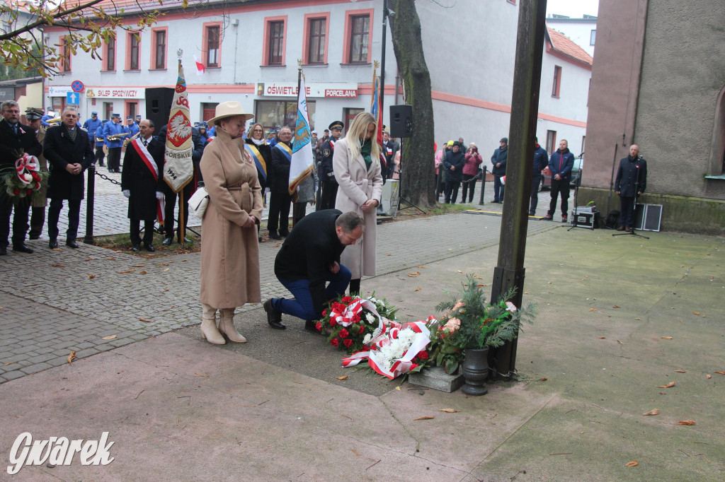 Tarnowskie Góry. Obchody Święta Niepodległości [GALERIA]