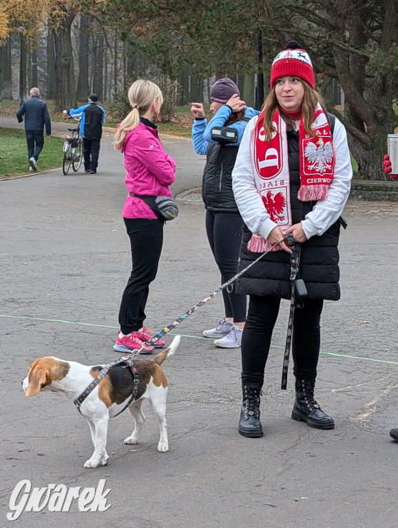 Świerklaniec. Pobiegli, poszli, świętowali w narodowych barwach