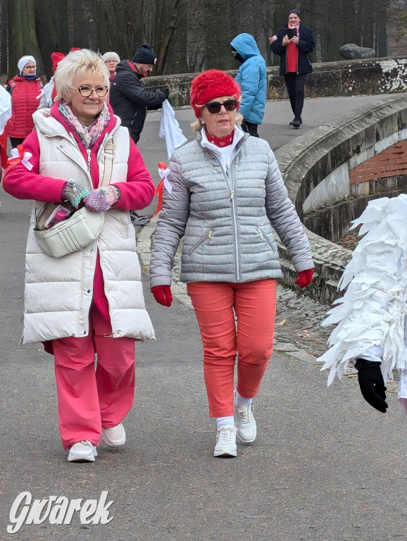 Świerklaniec. Pobiegli, poszli, świętowali w narodowych barwach