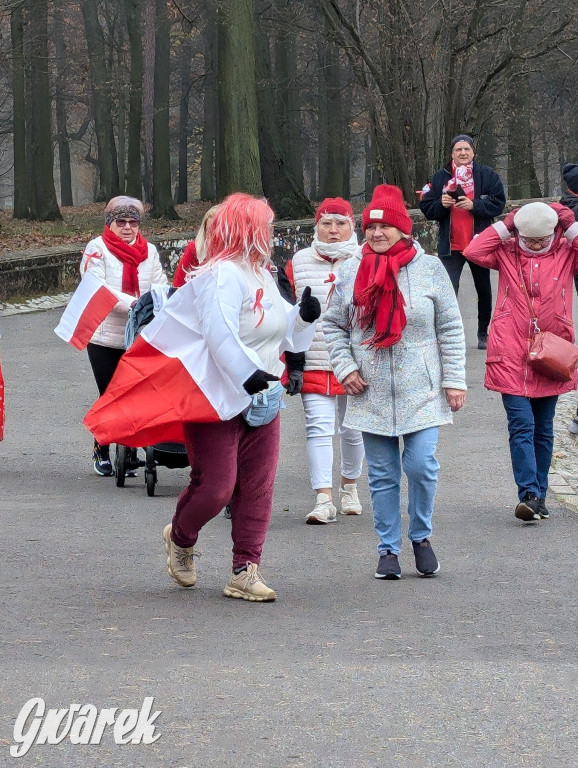 Świerklaniec. Pobiegli, poszli, świętowali w narodowych barwach