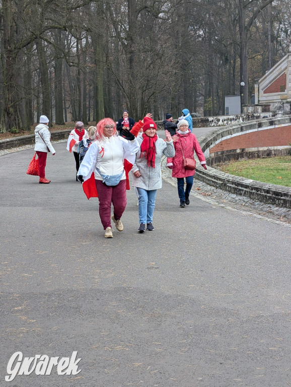 Świerklaniec. Pobiegli, poszli, świętowali w narodowych barwach