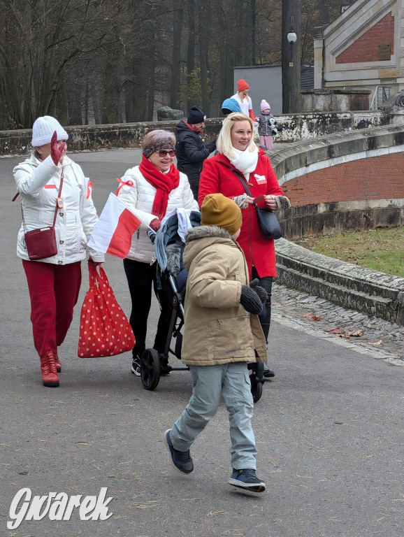 Świerklaniec. Pobiegli, poszli, świętowali w narodowych barwach