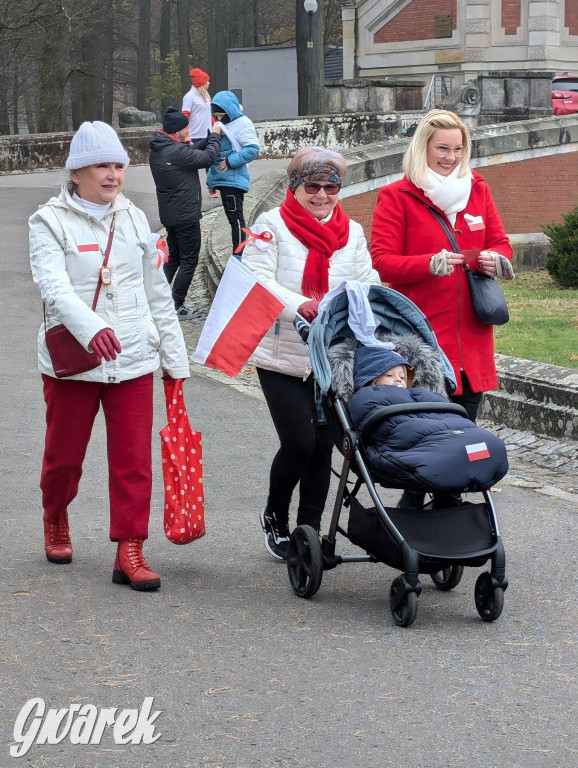 Świerklaniec. Pobiegli, poszli, świętowali w narodowych barwach