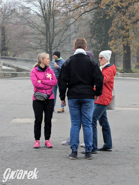 Świerklaniec. Pobiegli, poszli, świętowali w narodowych barwach