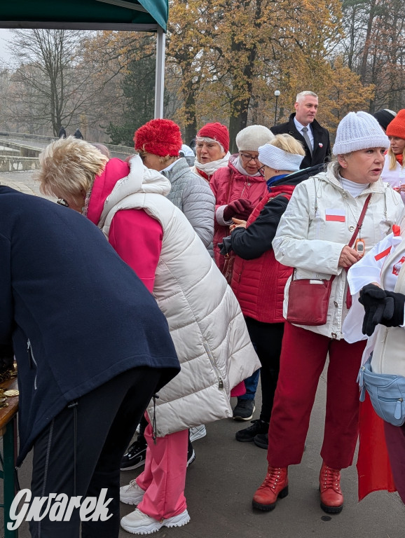 Świerklaniec. Pobiegli, poszli, świętowali w narodowych barwach