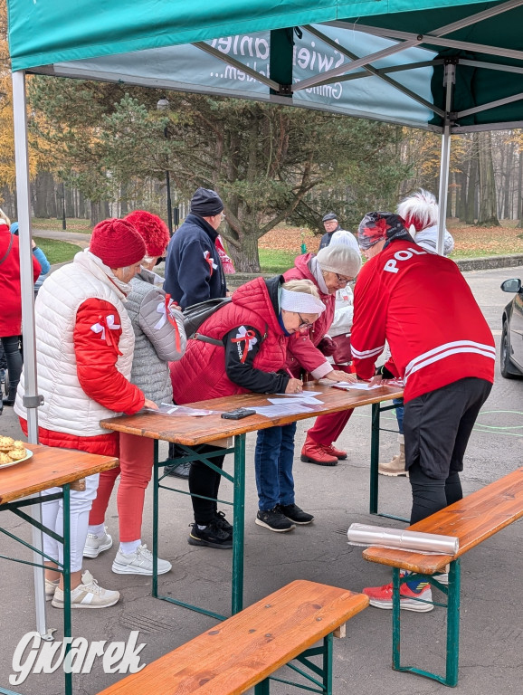 Świerklaniec. Pobiegli, poszli, świętowali w narodowych barwach