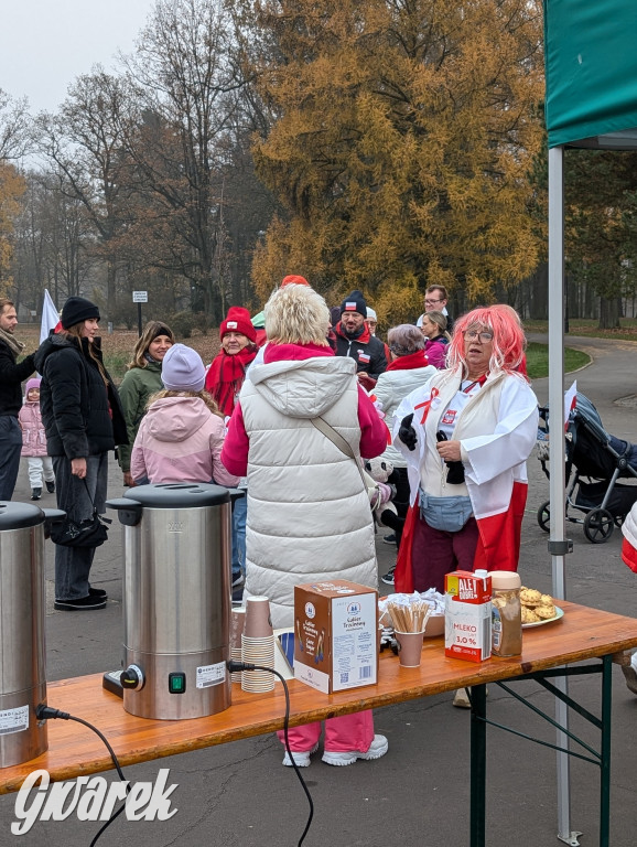 Świerklaniec. Pobiegli, poszli, świętowali w narodowych barwach