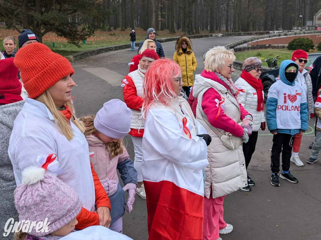 Świerklaniec. Pobiegli, poszli, świętowali w narodowych barwach