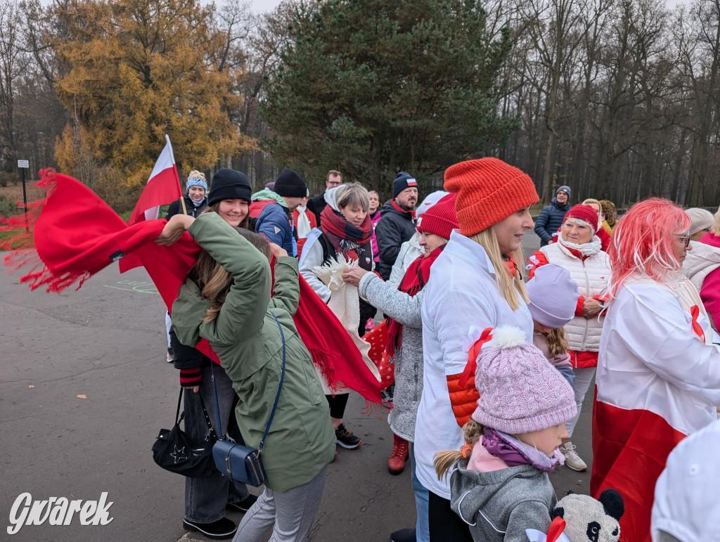 Świerklaniec. Pobiegli, poszli, świętowali w narodowych barwach