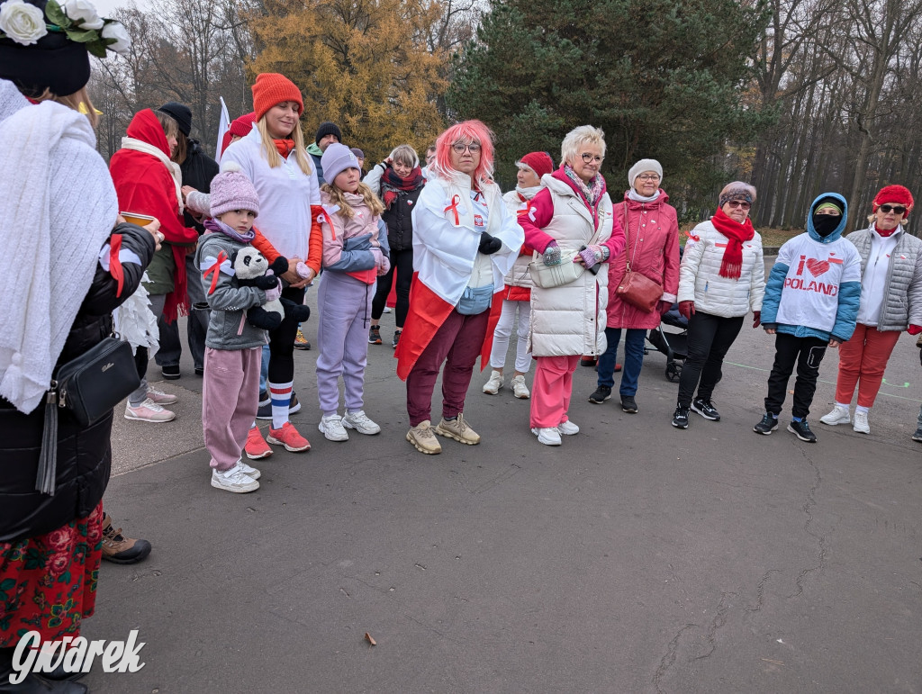 Świerklaniec. Pobiegli, poszli, świętowali w narodowych barwach