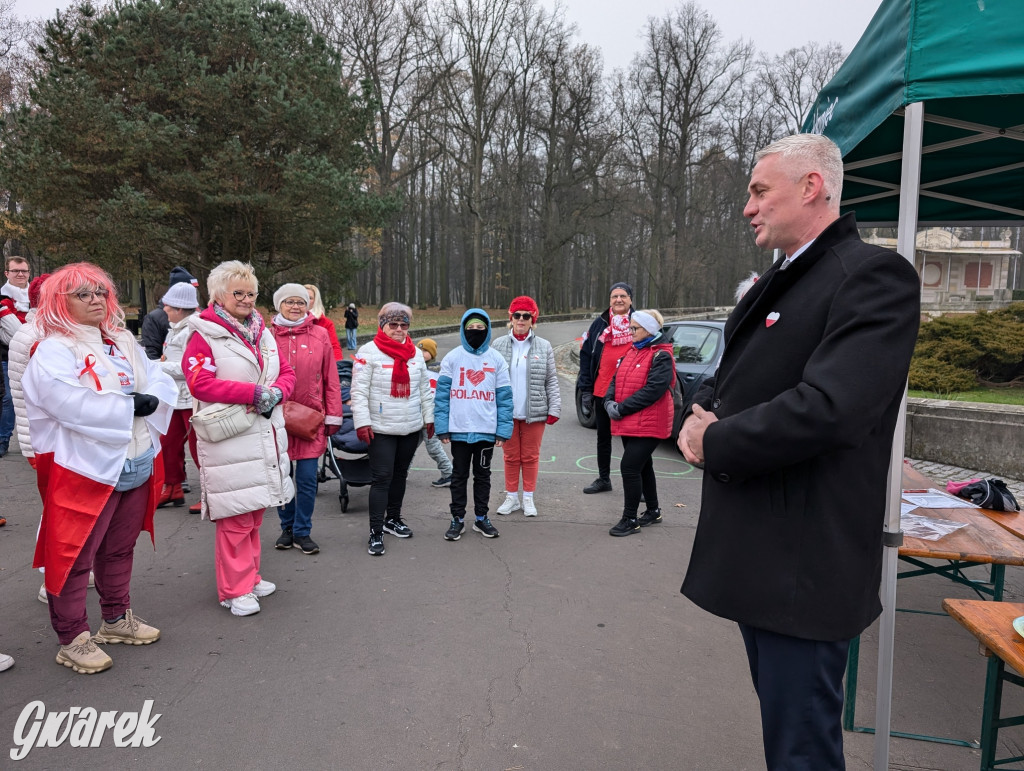 Świerklaniec. Pobiegli, poszli, świętowali w narodowych barwach