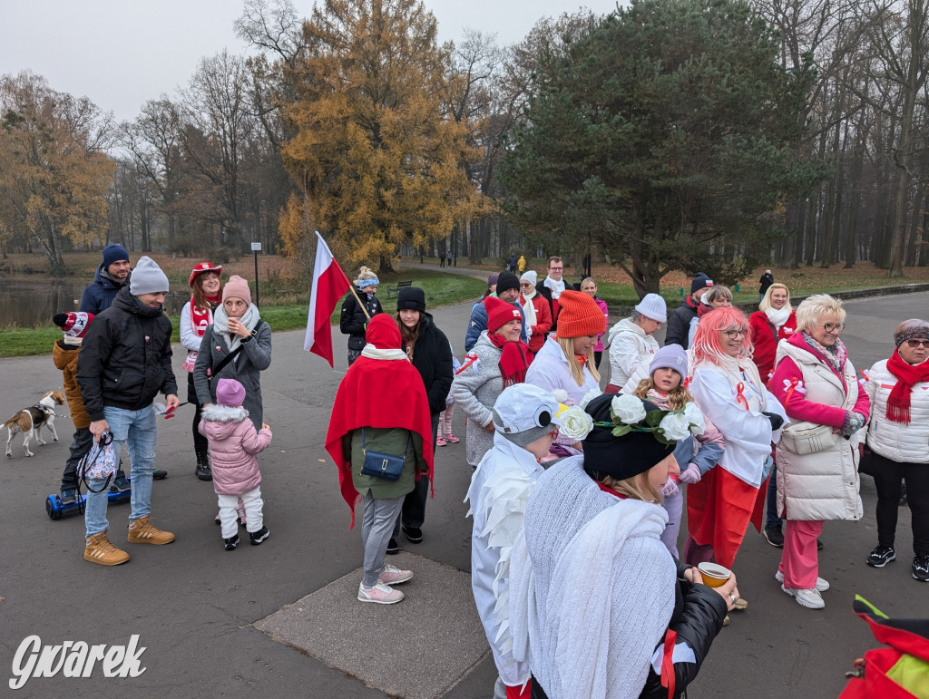 Świerklaniec. Pobiegli, poszli, świętowali w narodowych barwach