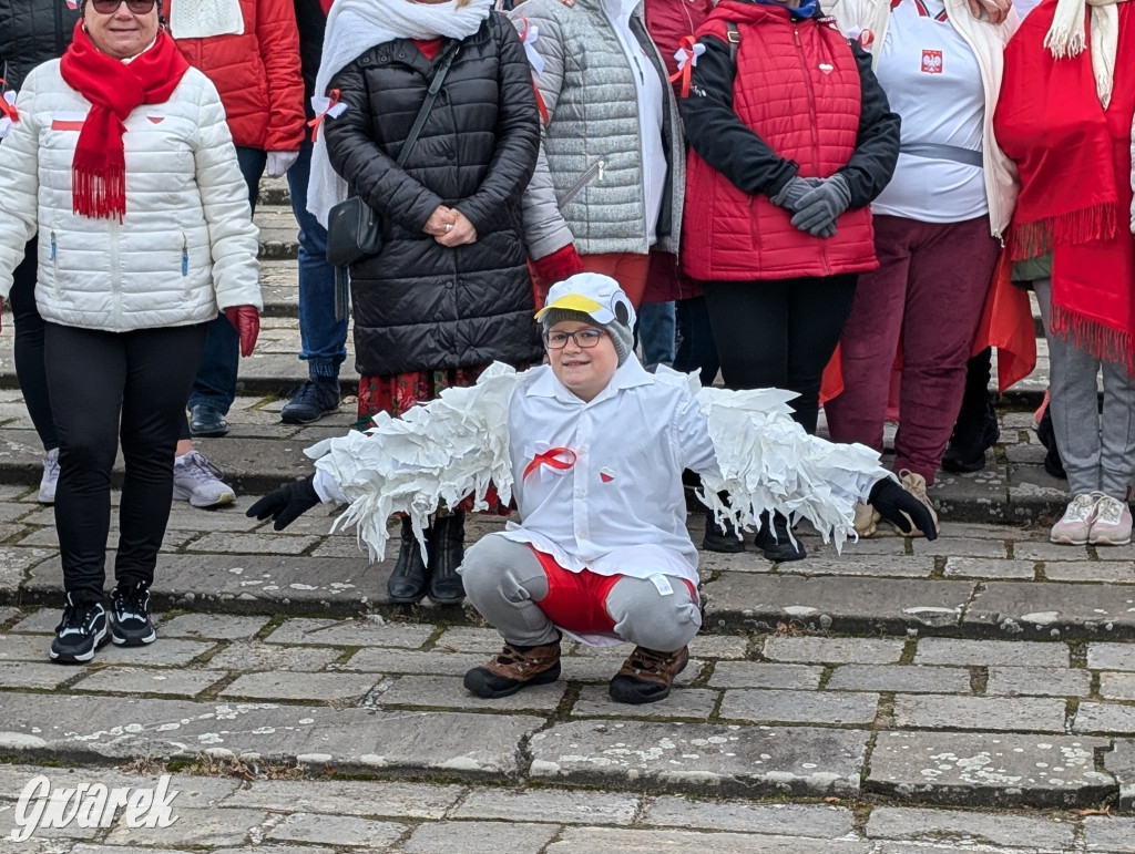 Świerklaniec. Pobiegli, poszli, świętowali w narodowych barwach