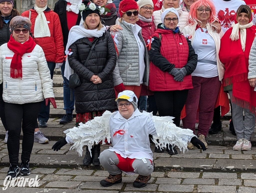 Świerklaniec. Pobiegli, poszli, świętowali w narodowych barwach