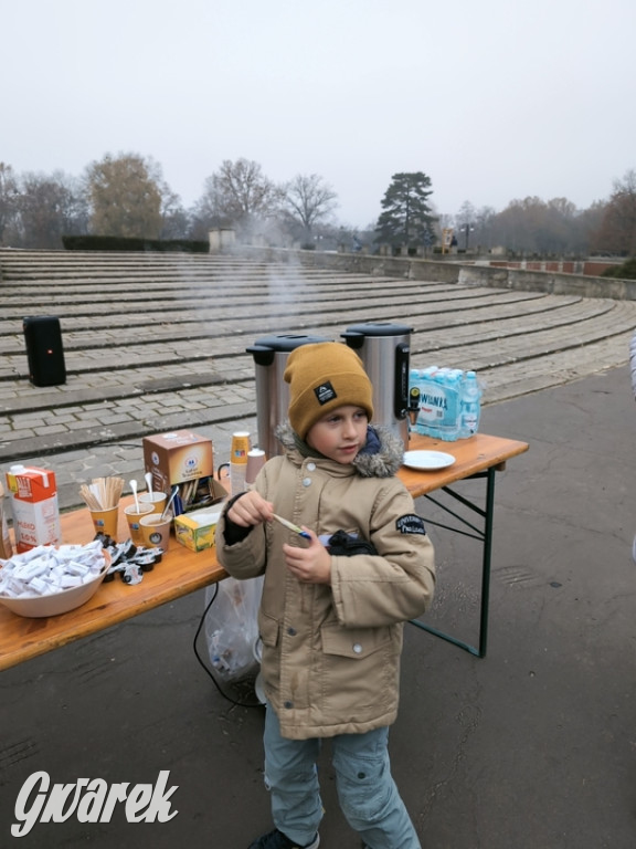 Świerklaniec. Pobiegli, poszli, świętowali w narodowych barwach