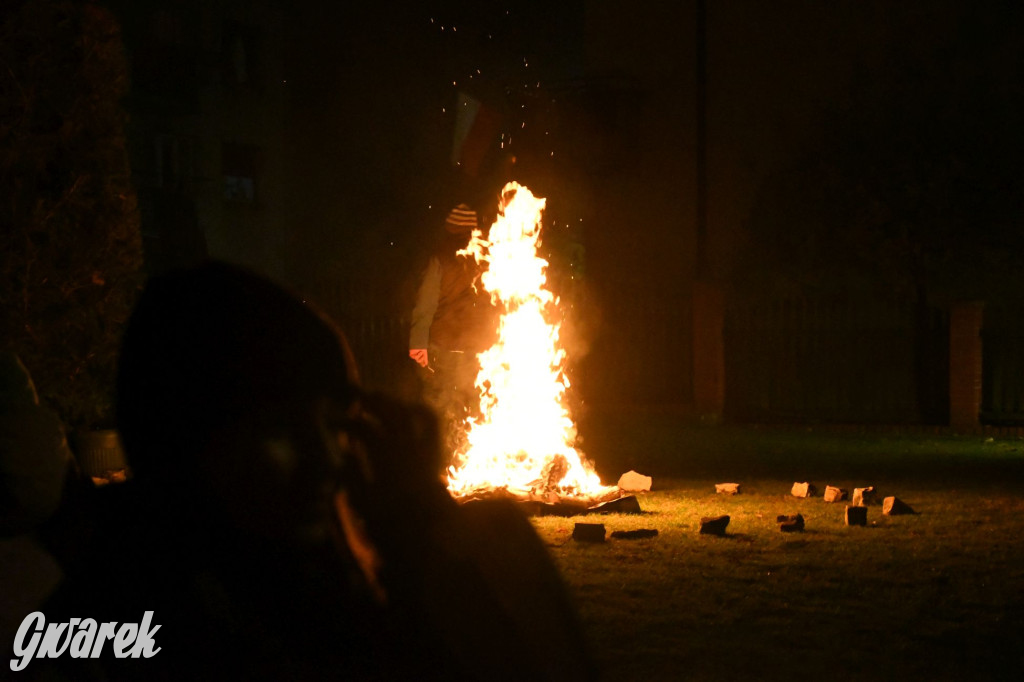 Dzieci z lampionami wyruszyły za św. Marcinem [FOTO]