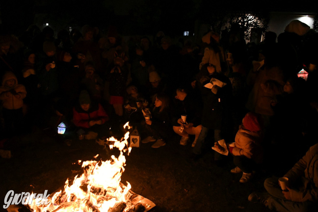 Dzieci z lampionami wyruszyły za św. Marcinem [FOTO]