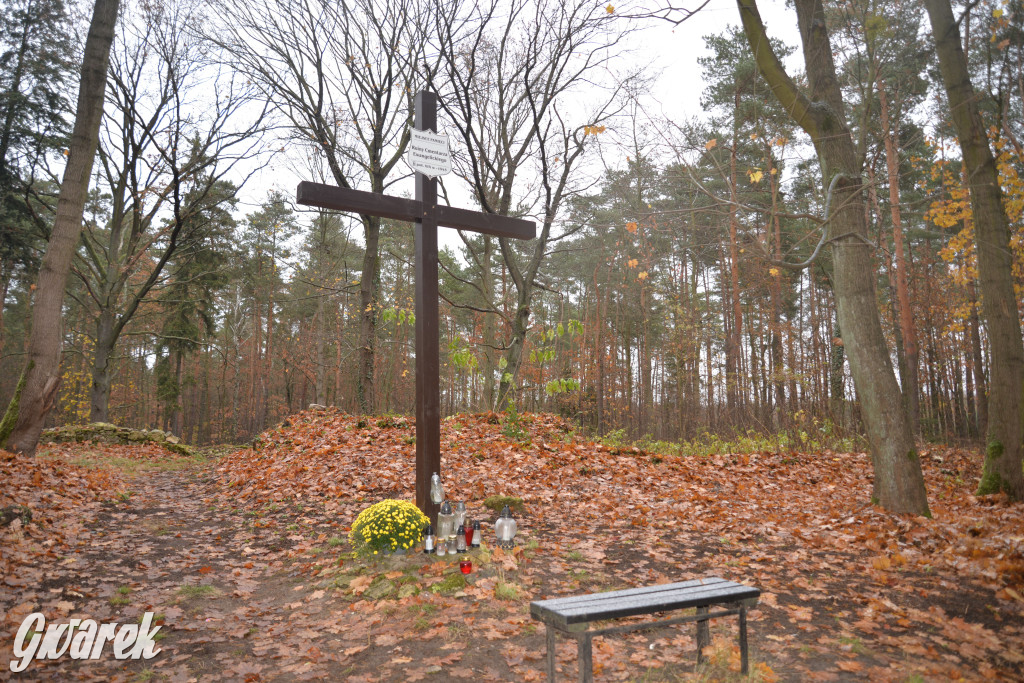 Świerklaniec. Leśny cmentarz ewangelicki