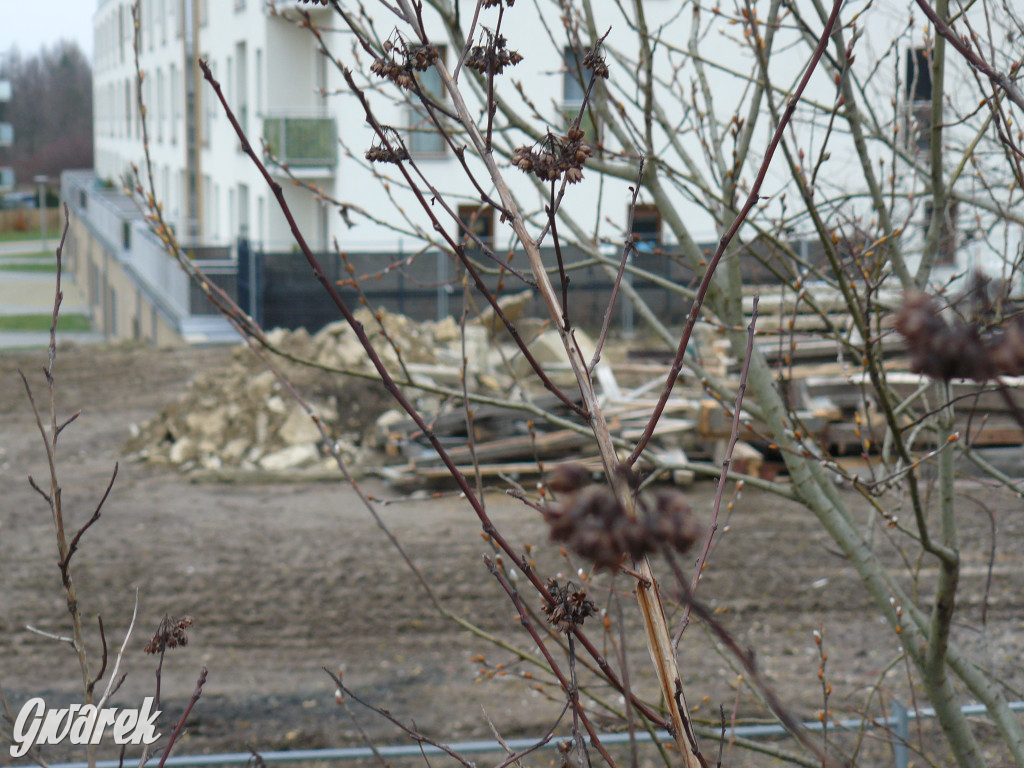 Tarnowskie Góry, Lasowice. Powstaje centrum handlowe