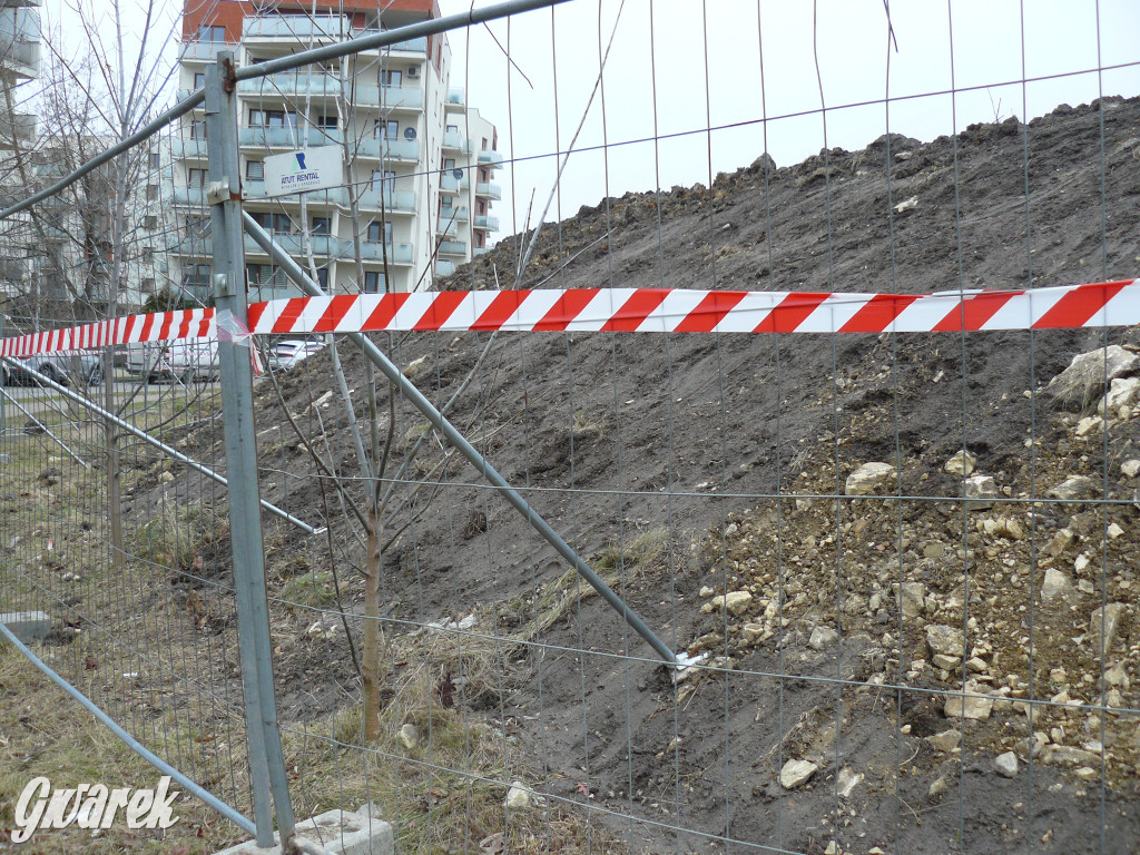 Tarnowskie Góry, Lasowice. Powstaje centrum handlowe