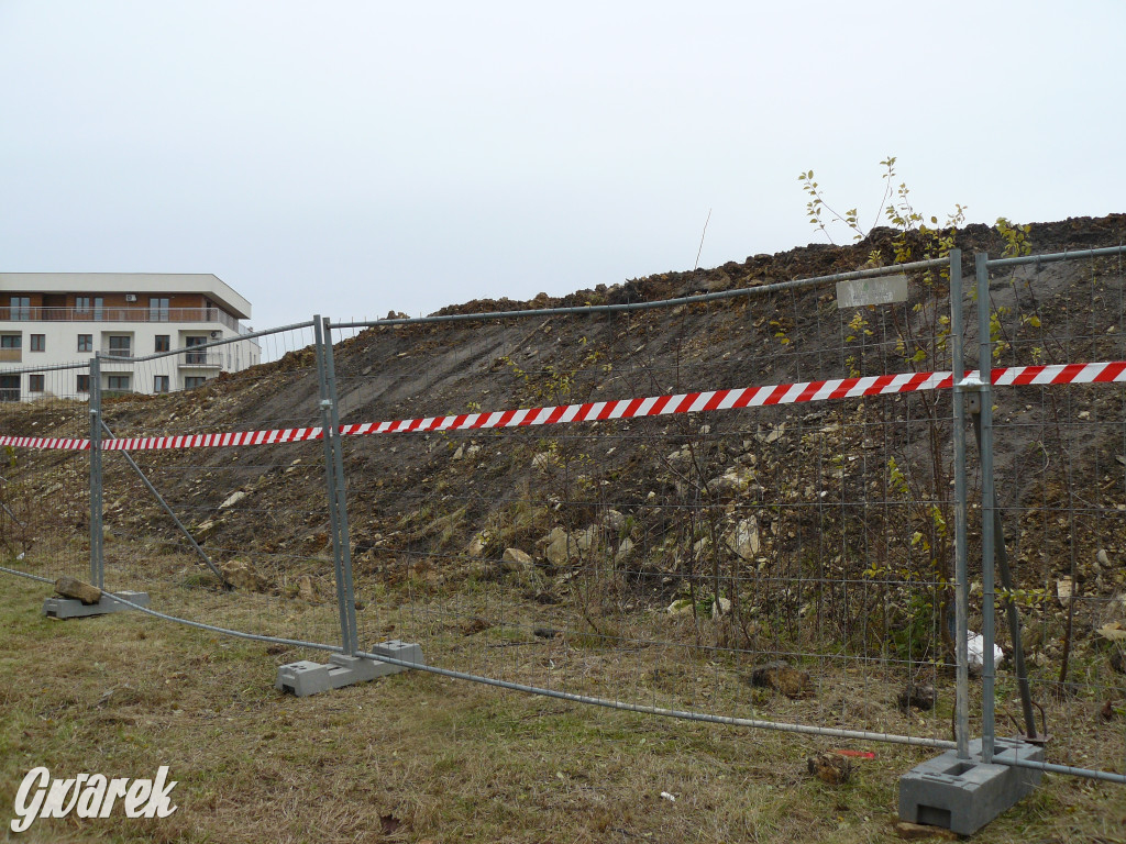 Tarnowskie Góry, Lasowice. Powstaje centrum handlowe