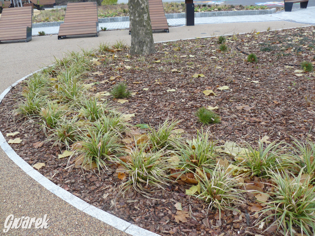 Tarnowskie Góry. Plac zabaw przy rondzie otwarty [FOTO]