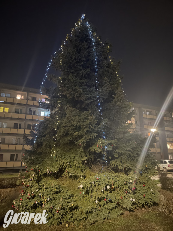 Strzybnica. Mieszkańcy stroili choinkę [ZDJĘCIA]