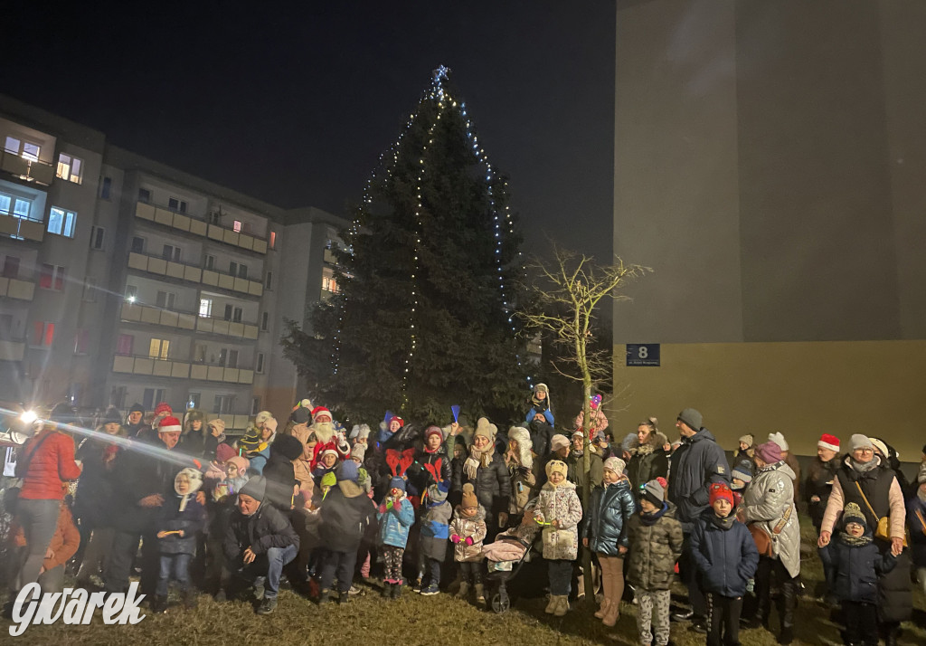 Strzybnica. Mieszkańcy stroili choinkę [ZDJĘCIA]