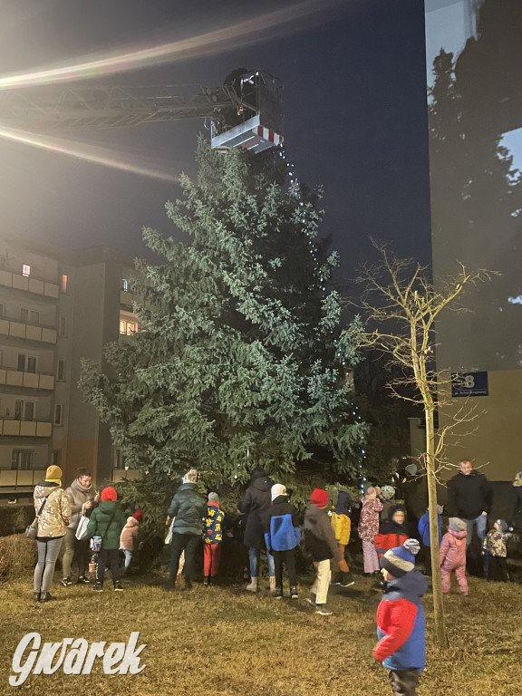 Strzybnica. Mieszkańcy stroili choinkę [ZDJĘCIA]