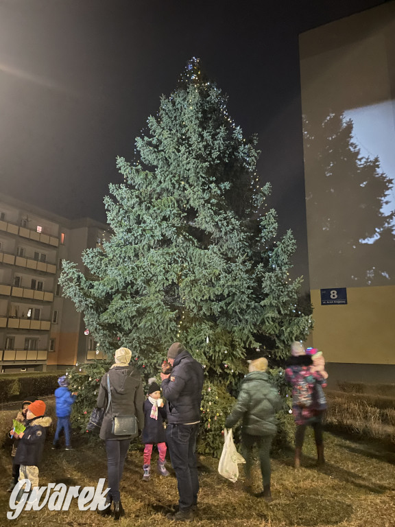 Strzybnica. Mieszkańcy stroili choinkę [ZDJĘCIA]