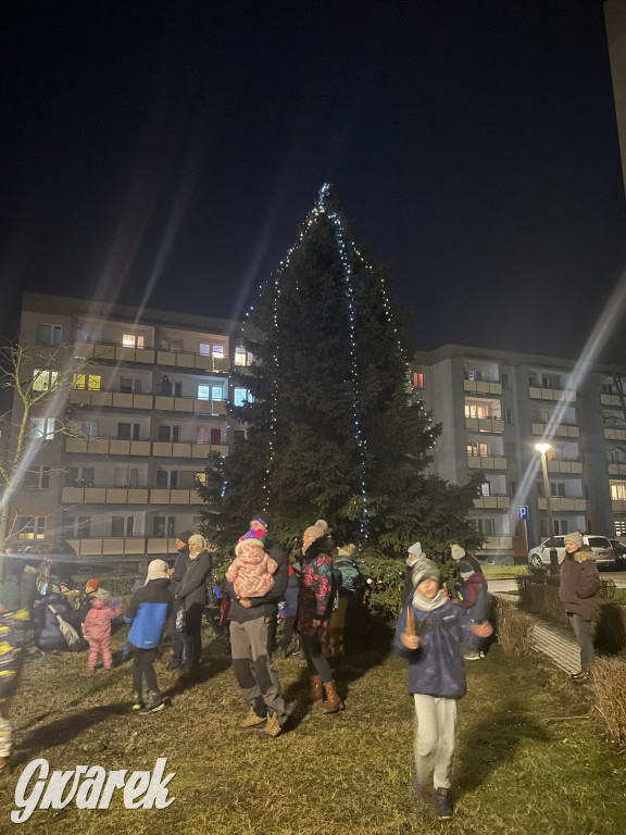 Strzybnica. Mieszkańcy stroili choinkę [ZDJĘCIA]