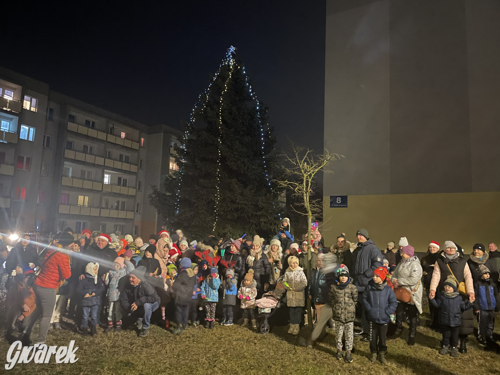 Strzybnica. Mieszkańcy stroili choinkę [ZDJĘCIA]