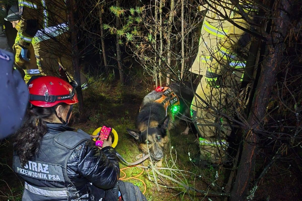 Poszukiwania zaginionej seniorki