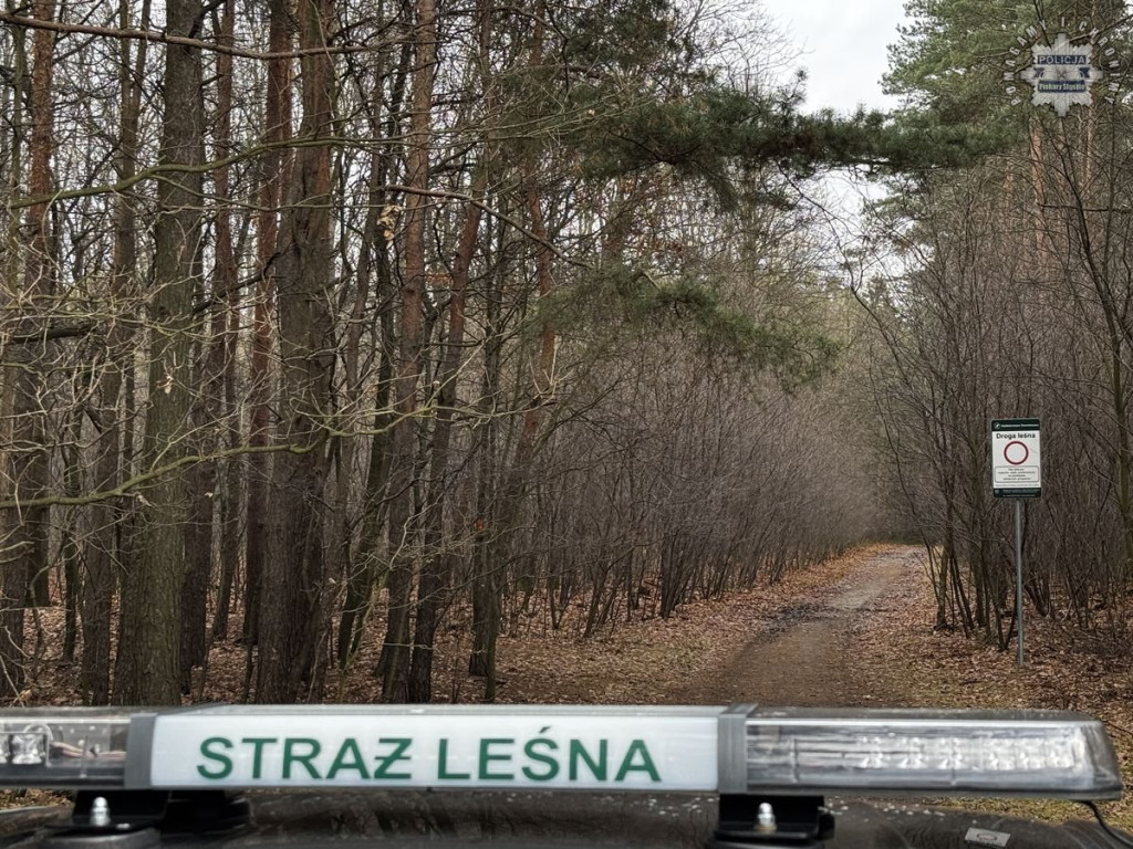 Policjanci i strażnicy patrolują lasy [FOTO]