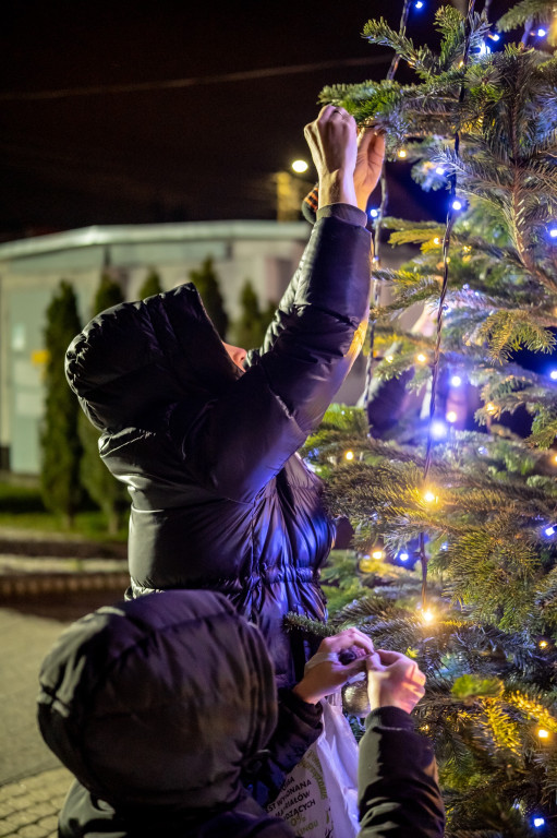 Akcja choinka, czyli świąteczny klimat w Orzechu [FOTO]