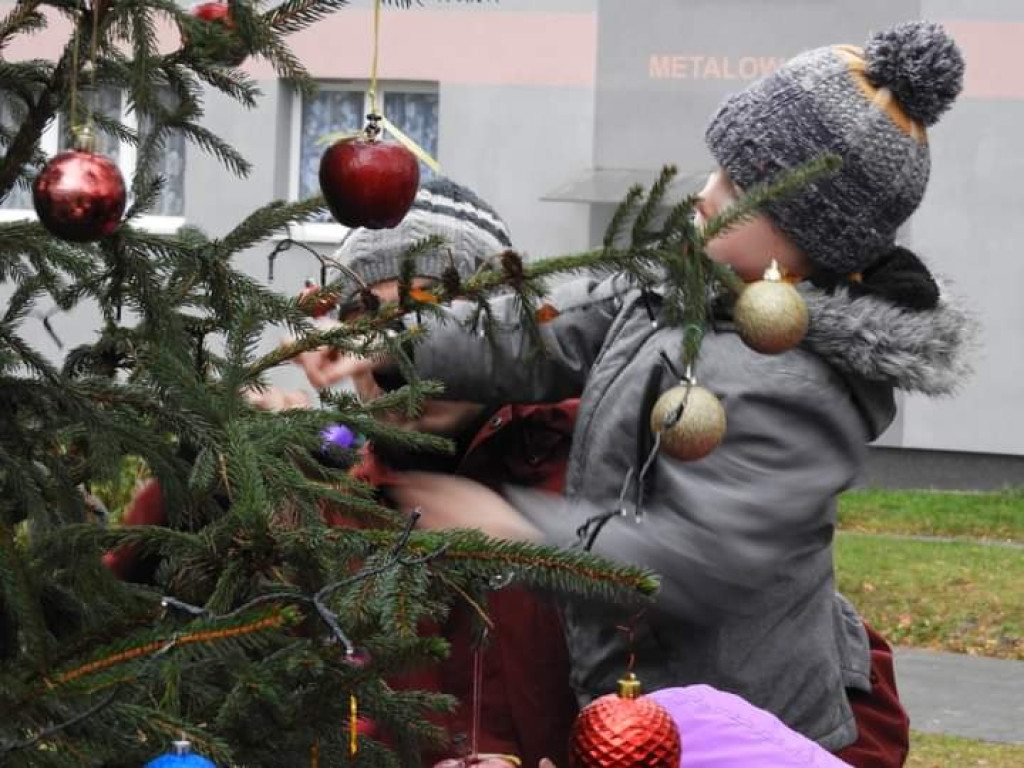 Wspólne strojenie choinki na skwerku seniora [FOTO]