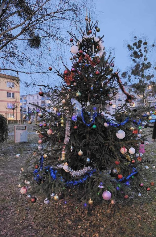 Wspólne strojenie choinki na skwerku seniora [FOTO]