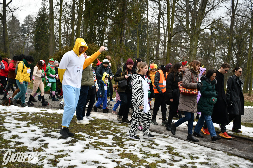 W śmiesznych przebraniach pobiegli dla WOŚP