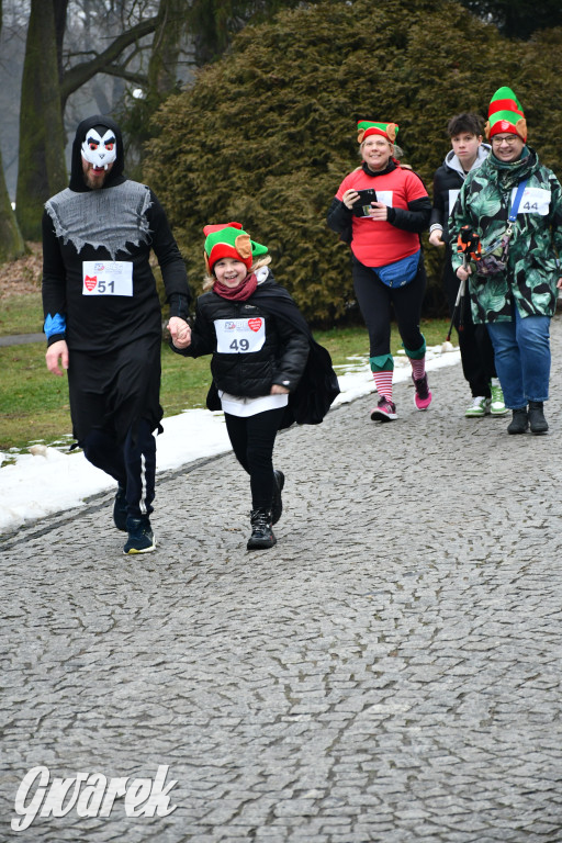 W śmiesznych przebraniach pobiegli dla WOŚP