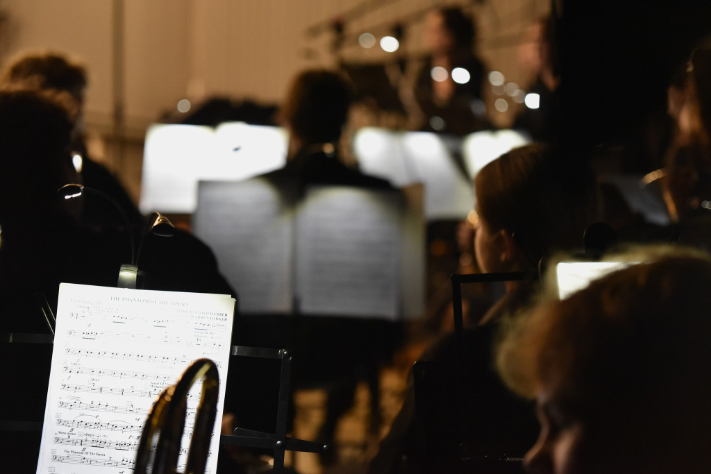 Koncert karnawałowy w obiektywie Światłoczułych