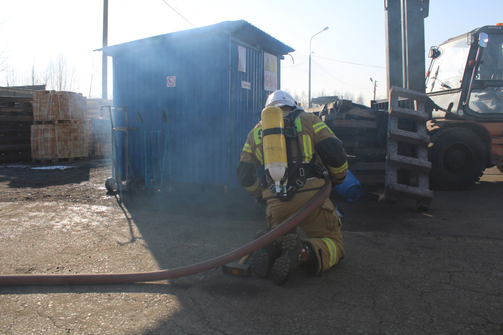 Piekary Śl. Ćwiczenia  w zakładzie Cobra Europa