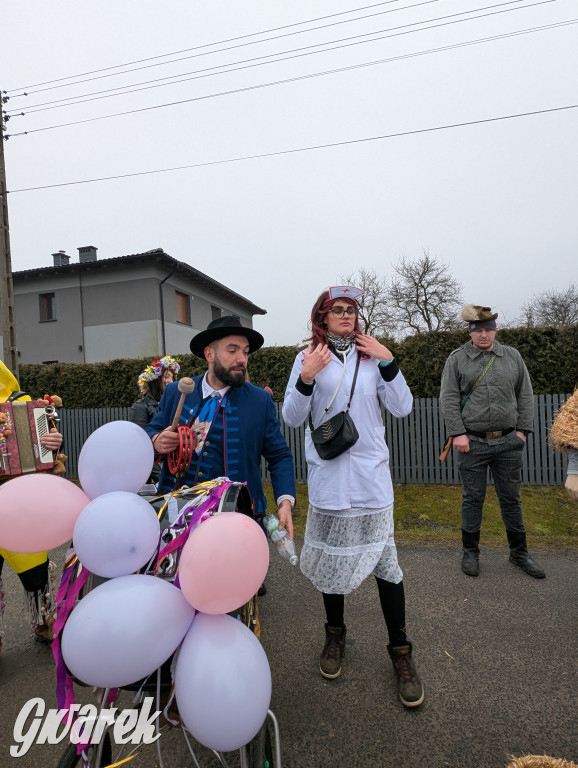 Wesoła ferajna wodzi niedźwiedzia w Kopienicy. Bery 2025