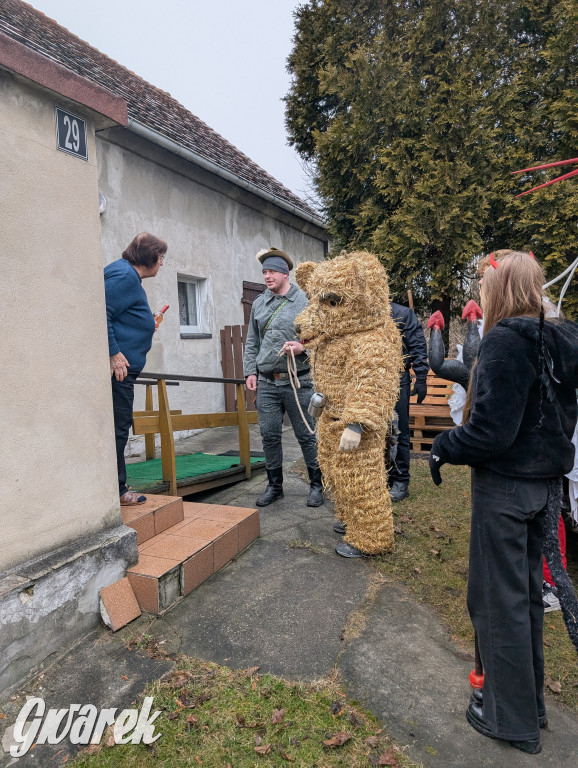 Wesoła ferajna wodzi niedźwiedzia w Kopienicy. Bery 2025