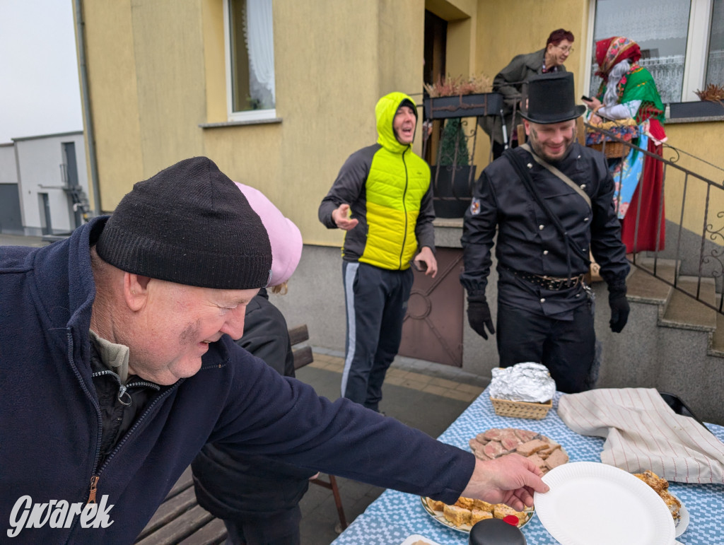 Wesoła ferajna wodzi niedźwiedzia w Kopienicy. Bery 2025